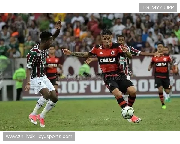 巴西甲联赛与巴西乙联赛：巴西甲级联赛与乙级联赛的差异